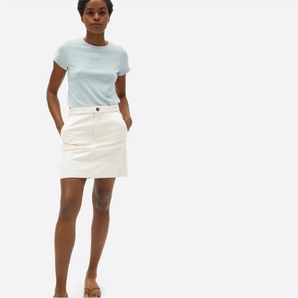 Everlane Canvas Stamp Mini Skirt Size 2